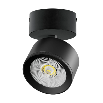Светильник накладной LIGHTSTAR ALTA PRO A5537SO